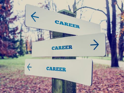 {cf_{pre_channel}_images:gr_caption}