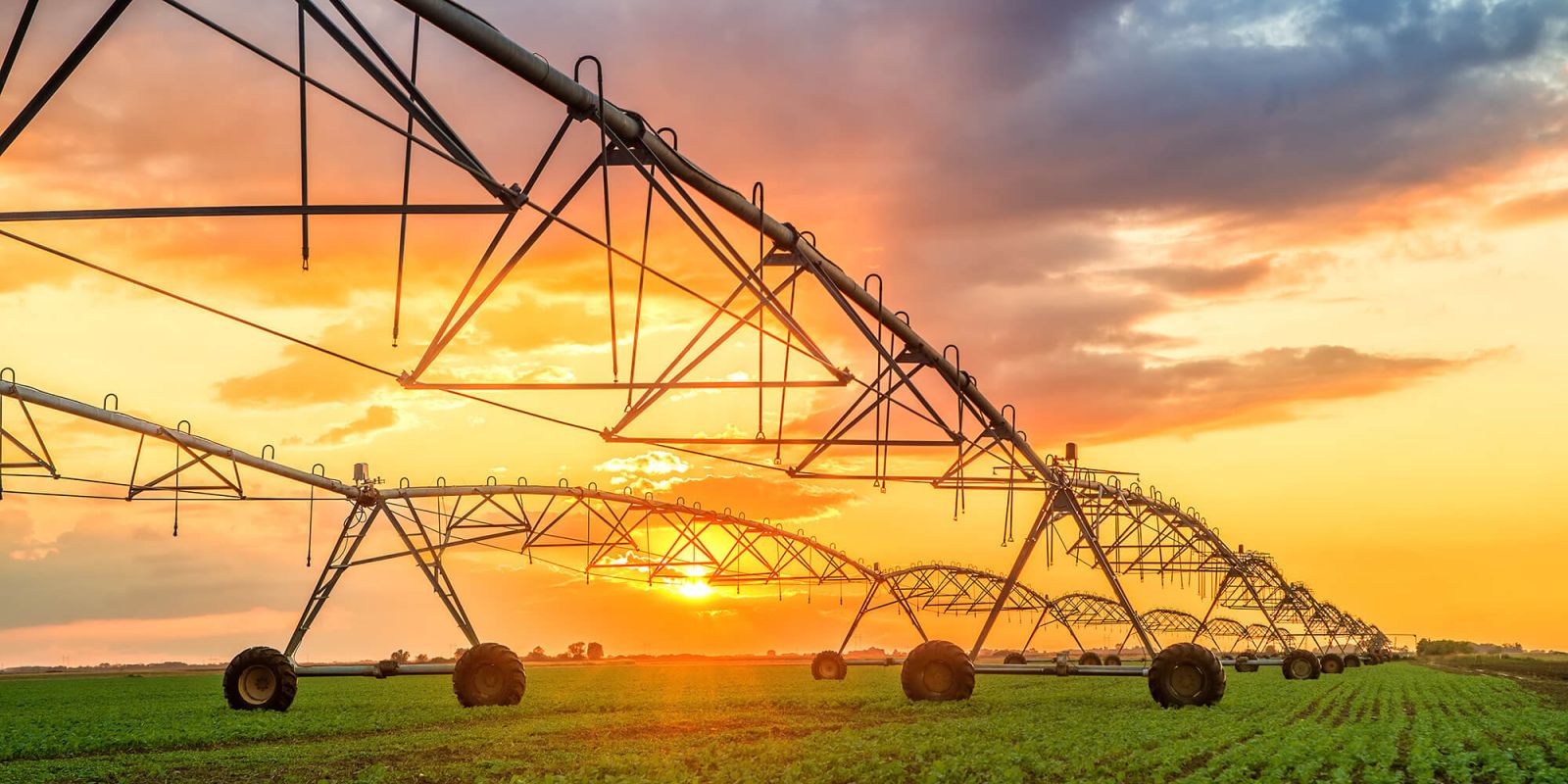 Field irrigation