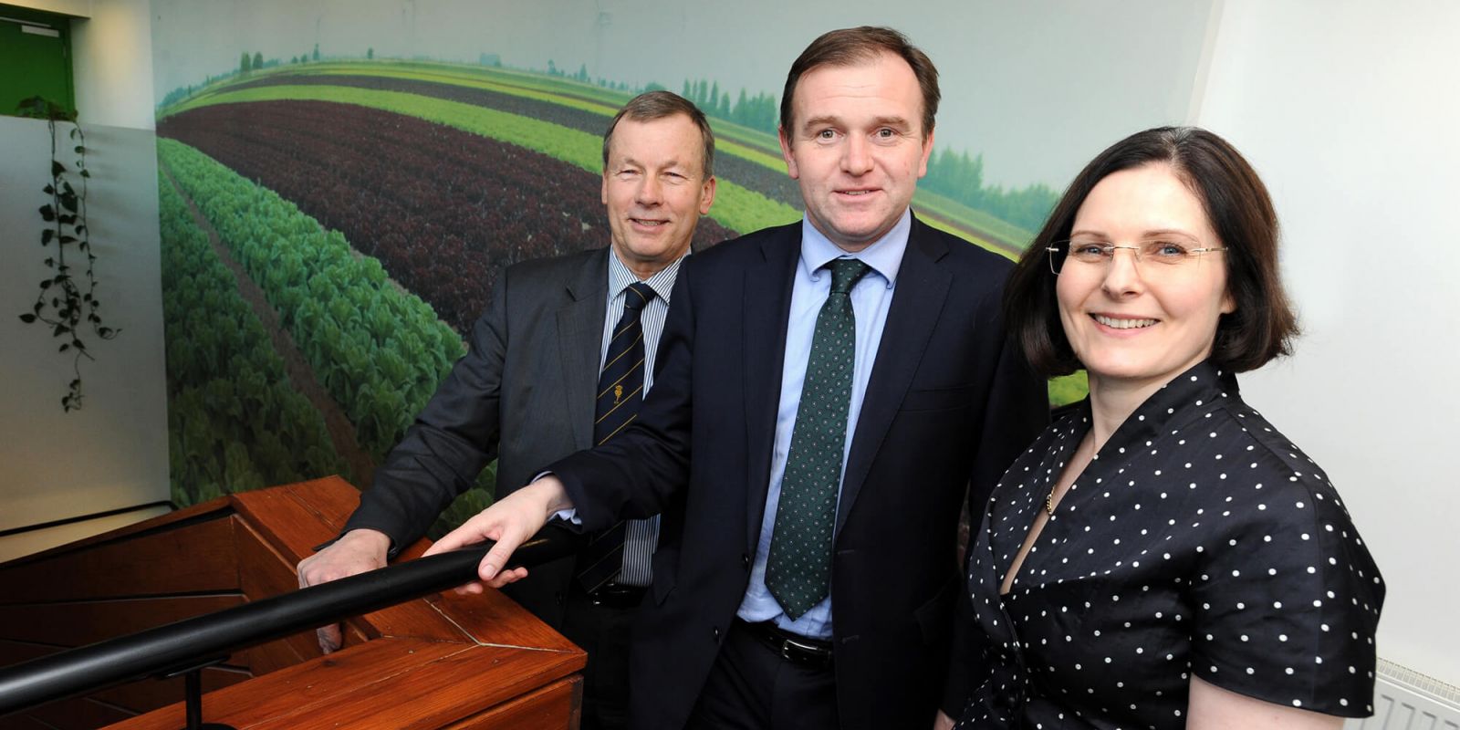 Food board launch 